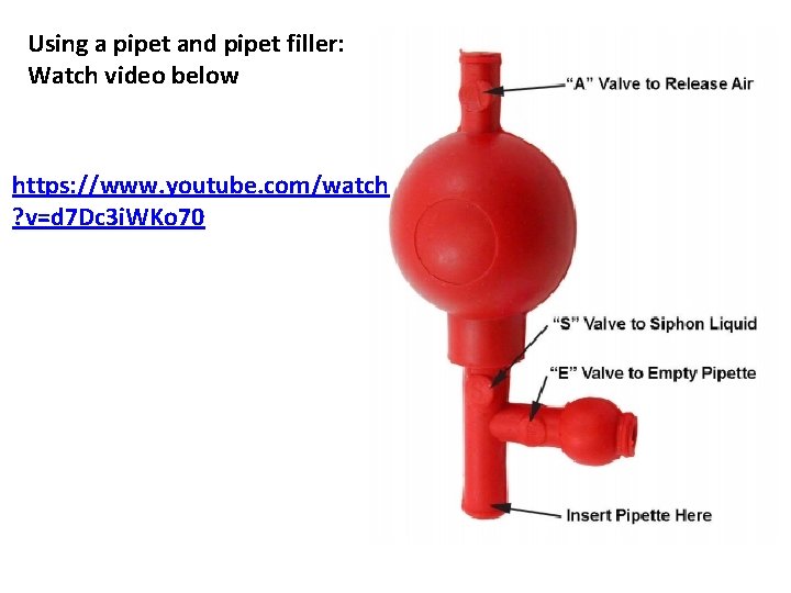Using a pipet and pipet filler: Watch video below https: //www. youtube. com/watch ?