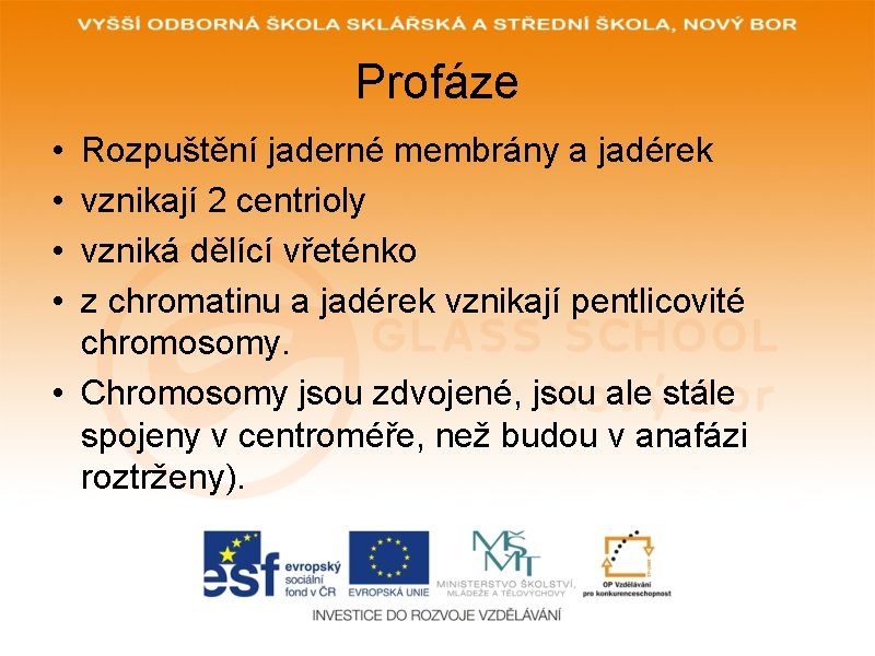 Profáze • • Rozpuštění jaderné membrány a jadérek vznikají 2 centrioly vzniká dělící vřeténko