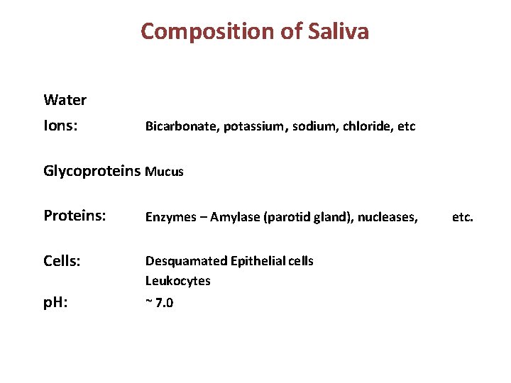 Composition of Saliva Water Ions: Bicarbonate, potassium, sodium, chloride, etc Glycoproteins Mucus Proteins: Enzymes