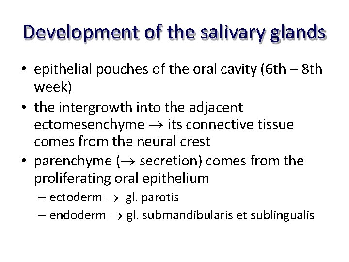 Development of the salivary glands • epithelial pouches of the oral cavity (6 th