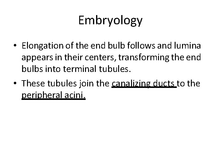 Embryology • Elongation of the end bulb follows and lumina appears in their centers,