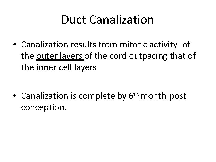 Duct Canalization • Canalization results from mitotic activity of the outer layers of the