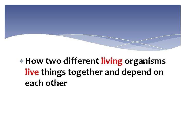  How two different living organisms live things together and depend on each other