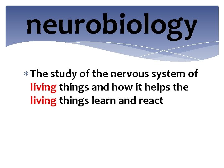 neurobiology The study of the nervous system of living things and how it helps