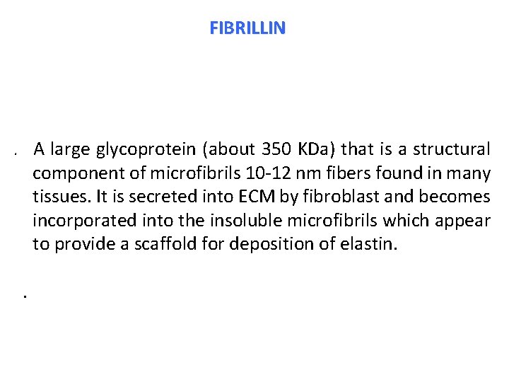 FIBRILLIN . A large glycoprotein (about 350 KDa) that is a structural component of