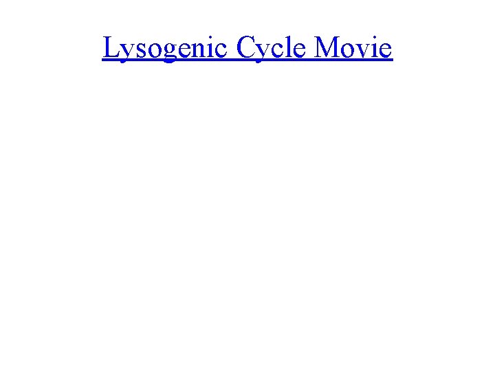 Lysogenic Cycle Movie 
