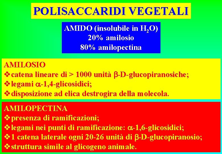 POLISACCARIDI VEGETALI AMIDO (insolubile in H 2 O) 20% amilosio 80% amilopectina AMILOSIO vcatena