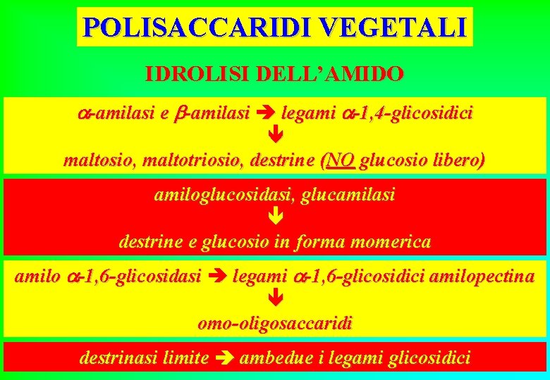 POLISACCARIDI VEGETALI IDROLISI DELL’AMIDO -amilasi e -amilasi legami -1, 4 -glicosidici maltosio, maltotriosio, destrine