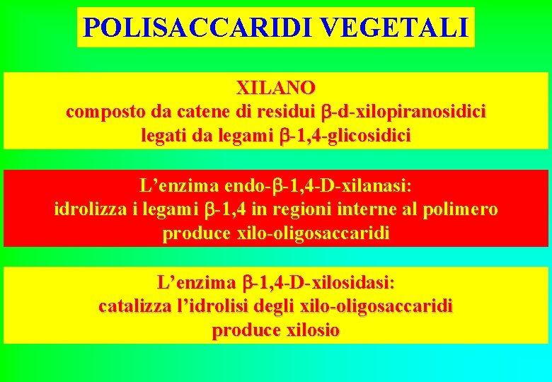 POLISACCARIDI VEGETALI XILANO composto da catene di residui -d-xilopiranosidici legati da legami -1, 4