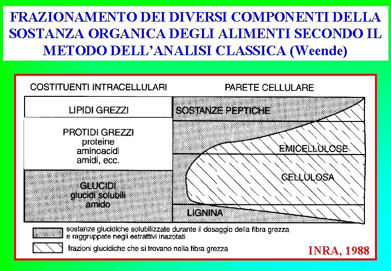 FRAZIONAMENTO DEI DIVERSI COMPONENTI DELLA SOSTANZA ORGANICA DEGLI ALIMENTI SECONDO IL METODO DELL’ANALISI CLASSICA