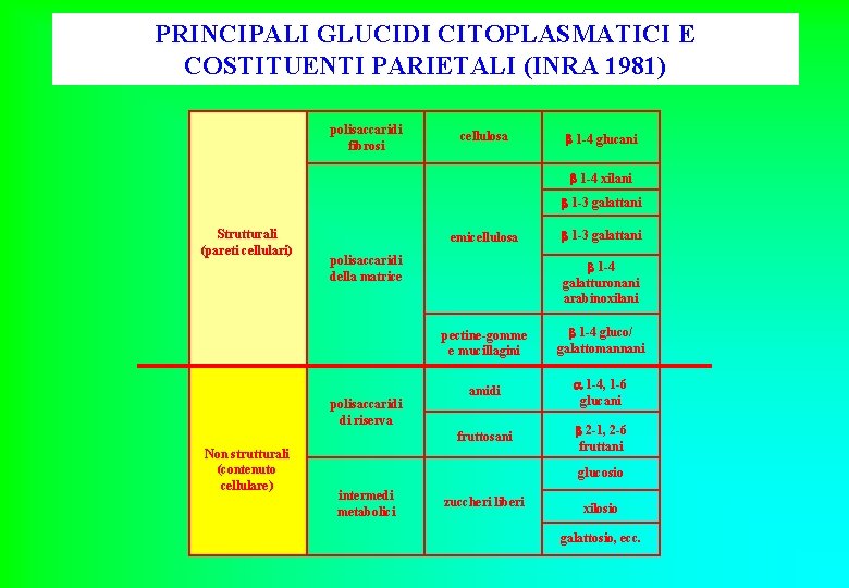 PRINCIPALI GLUCIDI CITOPLASMATICI E COSTITUENTI PARIETALI (INRA 1981) polisaccaridi fibrosi cellulosa 1 -4 glucani