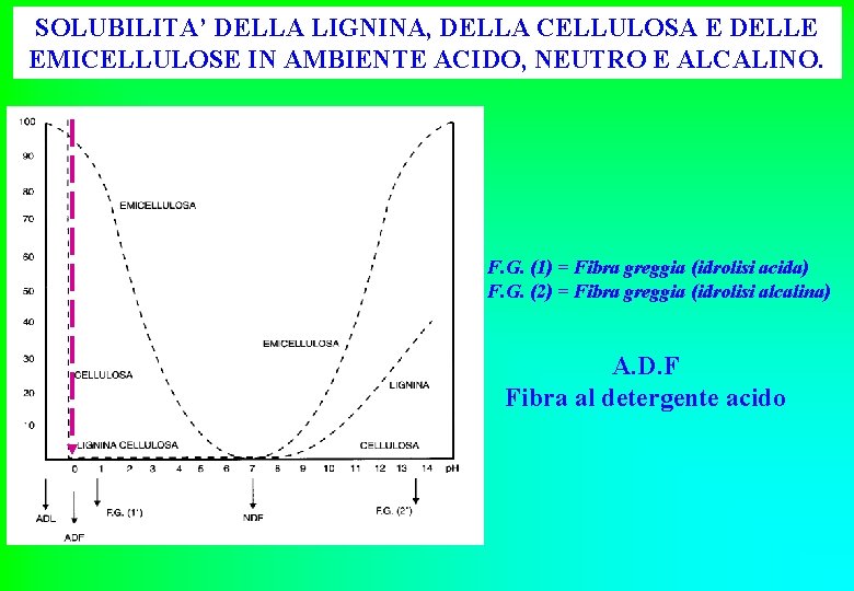 SOLUBILITA’ DELLA LIGNINA, DELLA CELLULOSA E DELLE EMICELLULOSE IN AMBIENTE ACIDO, NEUTRO E ALCALINO.