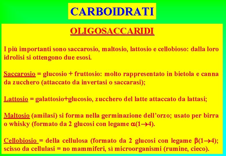 CARBOIDRATI OLIGOSACCARIDI I più importanti sono saccarosio, maltosio, lattosio e cellobioso: dalla loro idrolisi