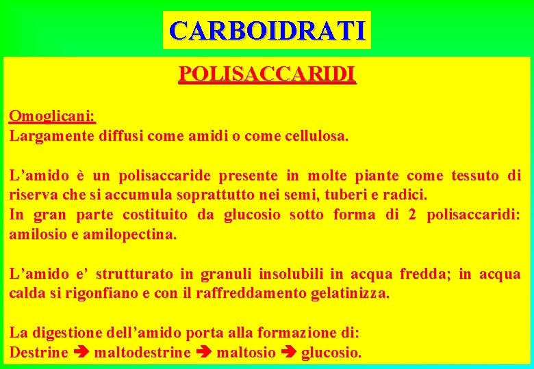 CARBOIDRATI POLISACCARIDI Omoglicani: Largamente diffusi come amidi o come cellulosa. L’amido è un polisaccaride