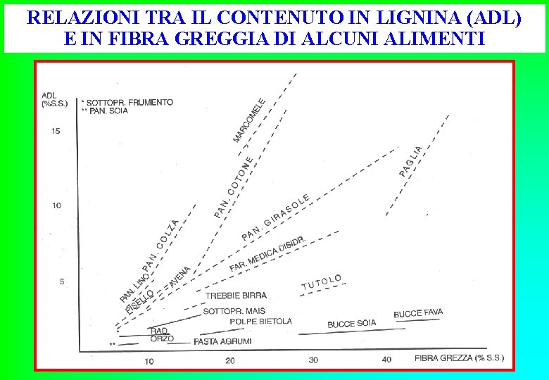 RELAZIONI TRA IL CONTENUTO IN LIGNINA (ADL) E IN FIBRA GREGGIA DI ALCUNI ALIMENTI