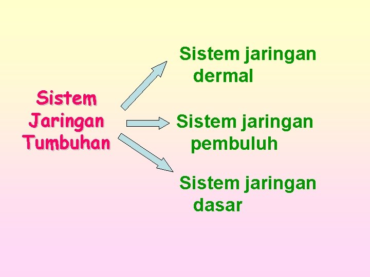 Sistem Jaringan Tumbuhan Sistem jaringan dermal Sistem jaringan pembuluh Sistem jaringan dasar 