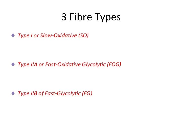 3 Fibre Types t Type I or Slow-Oxidative (SO) t Type IIA or Fast-Oxidative