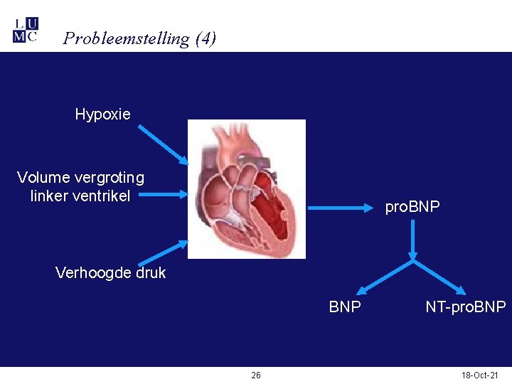 Probleemstelling (4) Hypoxie Volume vergroting linker ventrikel pro. BNP Verhoogde druk BNP 26 NT-pro.