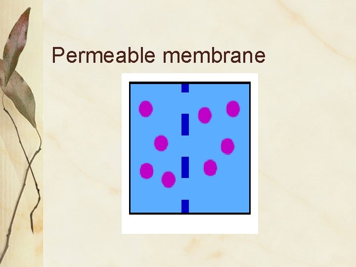 Unit 2 Plants for Food and Fibre Structure