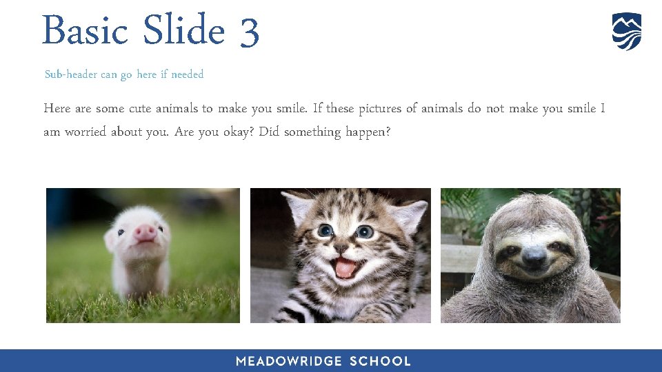 Basic Slide 3 Sub-header can go here if needed Here are some cute animals