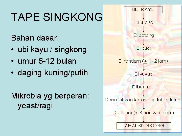 TAPE SINGKONG Bahan dasar: • ubi kayu / singkong • umur 6 -12 bulan