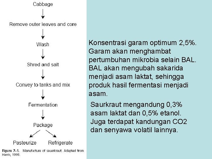 Konsentrasi garam optimum 2, 5%. Garam akan menghambat pertumbuhan mikrobia selain BAL akan mengubah