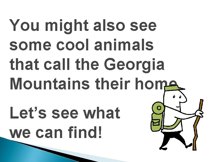 You might also see some cool animals that call the Georgia Mountains their home.