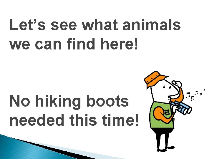 Let’s see what animals we can find here! No hiking boots needed this time!