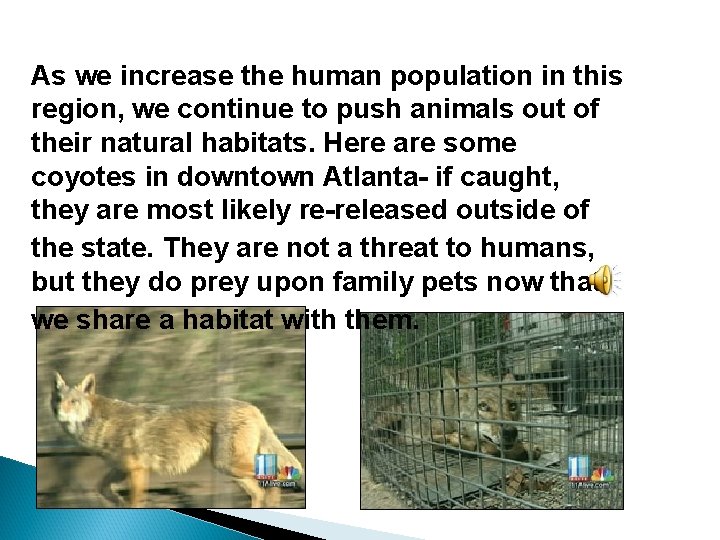 As we increase the human population in this region, we continue to push animals