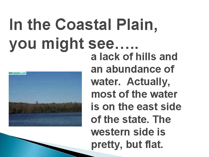 In the Coastal Plain, you might see…. . a lack of hills and an