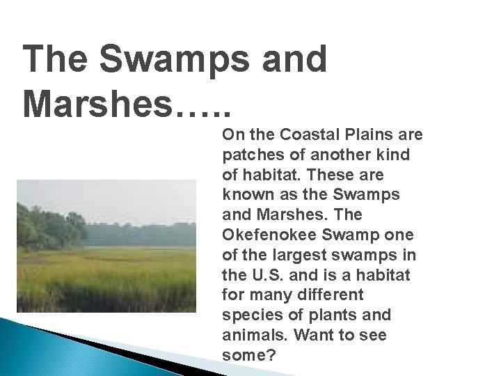 The Swamps and Marshes…. . On the Coastal Plains are patches of another kind