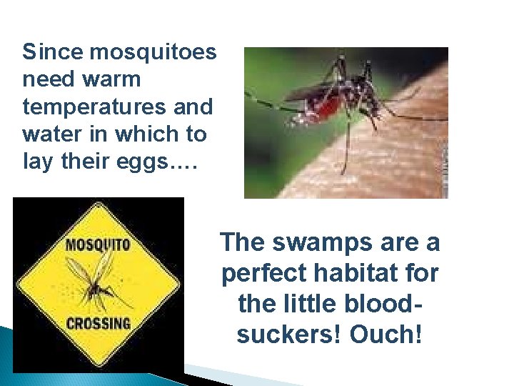 Since mosquitoes need warm temperatures and water in which to lay their eggs…. The