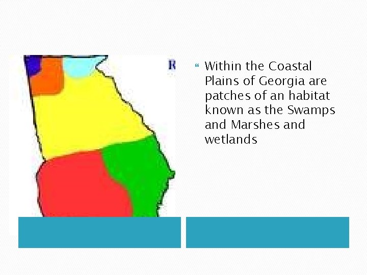  Within the Coastal Plains of Georgia are patches of an habitat known as