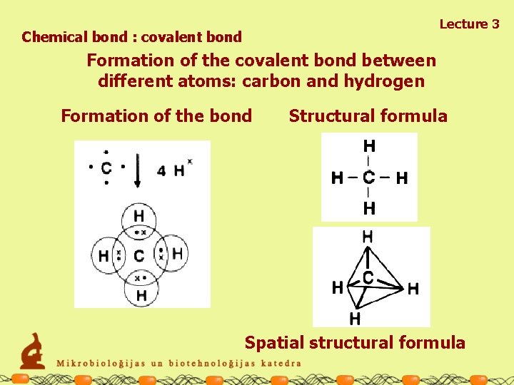 Lecture 3 Chemical bond : covalent bond Formation of the covalent bond between different
