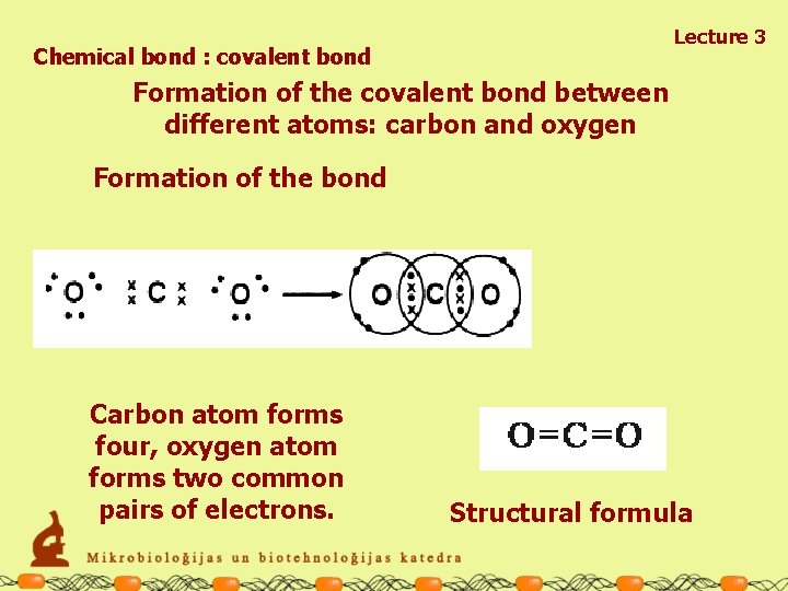 Lecture 3 Chemical bond : covalent bond Formation of the covalent bond between different