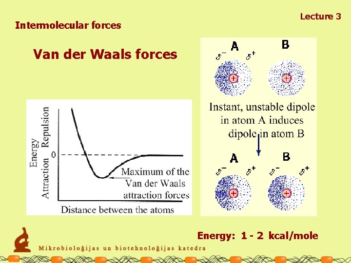 Intermolecular forces Lecture 3 Van der Waals forces Energy: 1 - 2 kcal/mole 