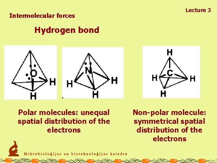Intermolecular forces Lecture 3 Hydrogen bond Polar molecules: unequal spatial distribution of the electrons