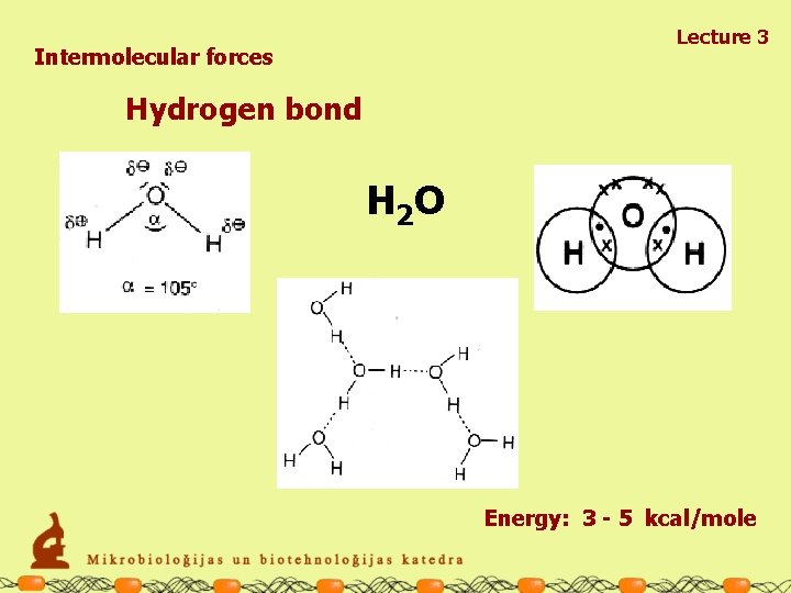 Lecture 3 Intermolecular forces Hydrogen bond H 2 O Energy: 3 - 5 kcal/mole