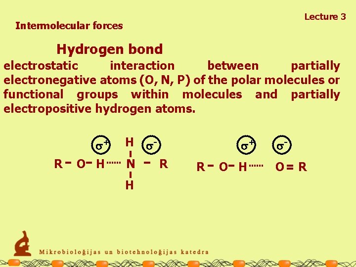 Lecture 3 Intermolecular forces Hydrogen bond electrostatic interaction between partially electronegative atoms (O, N,