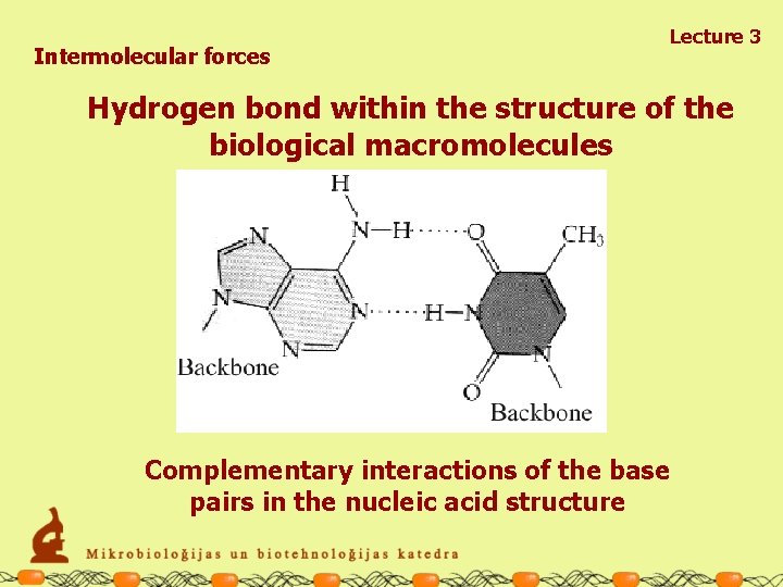 Intermolecular forces Lecture 3 Hydrogen bond within the structure of the biological macromolecules Complementary