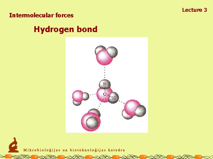Intermolecular forces Hydrogen bond Lecture 3 