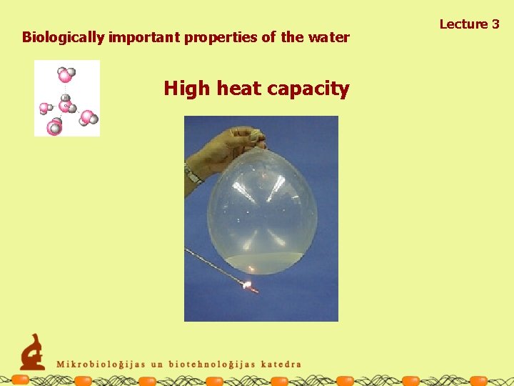 Biologically important properties of the water High heat capacity Lecture 3 