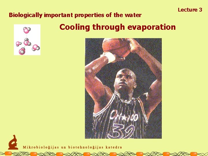 Biologically important properties of the water Cooling through evaporation Lecture 3 