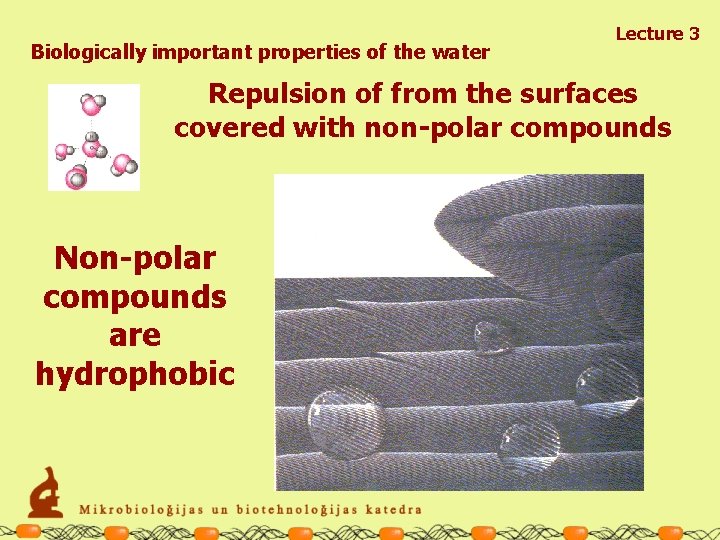Biologically important properties of the water Lecture 3 Repulsion of from the surfaces covered