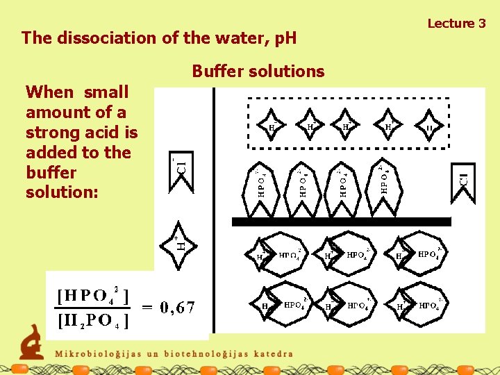 The dissociation of the water, p. H Buffer solutions When small amount of a