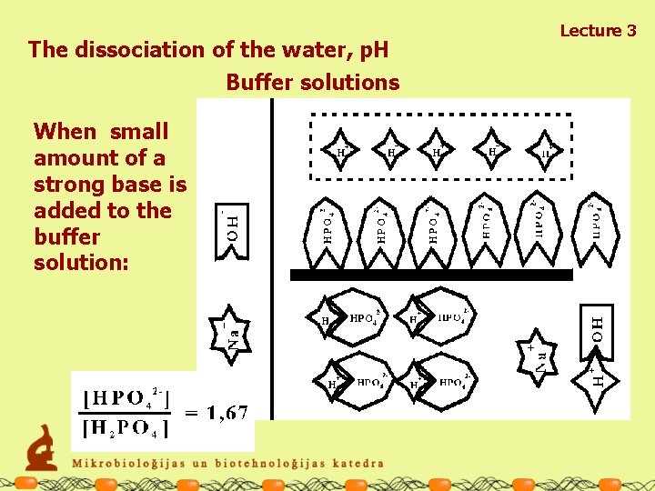 The dissociation of the water, p. H Buffer solutions When small amount of a