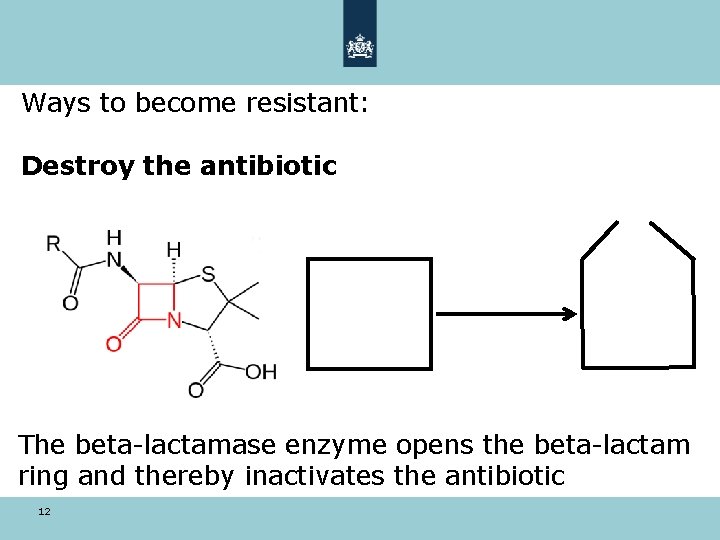 Ways to become resistant: Destroy the antibiotic The beta-lactamase enzyme opens the beta-lactam ring