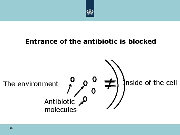 Entrance of the antibiotic is blocked The environment Antibiotic molecules 16 ≠ Inside of