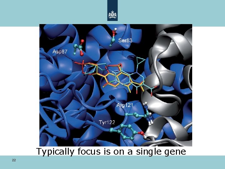 Typically focus is on a single gene 22 