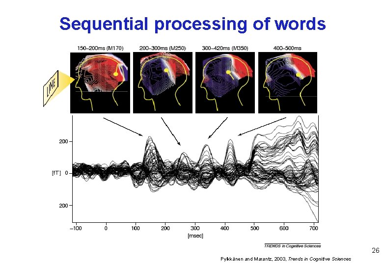 Sequential processing of words 26 Pylkkänen and Marantz, 2003, Trends in Cognitive Sciences 
